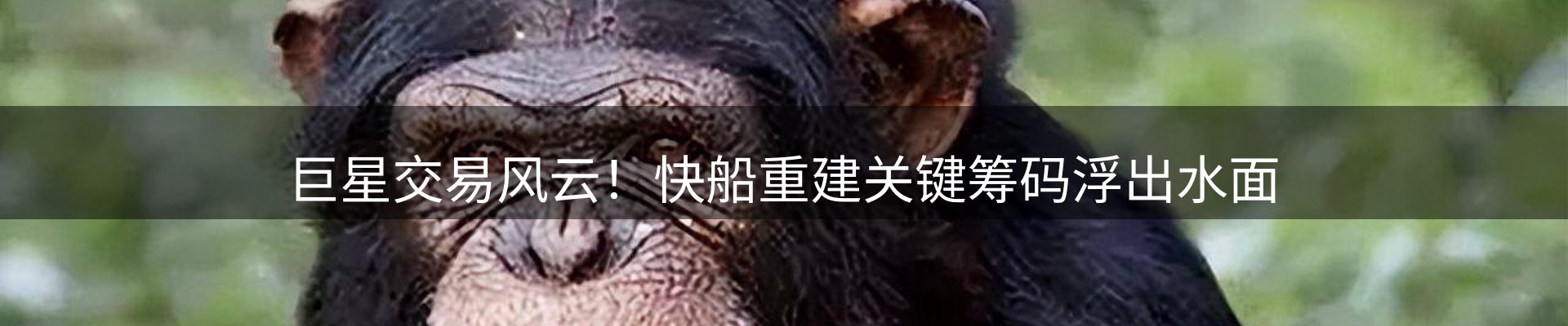 新闻焦点